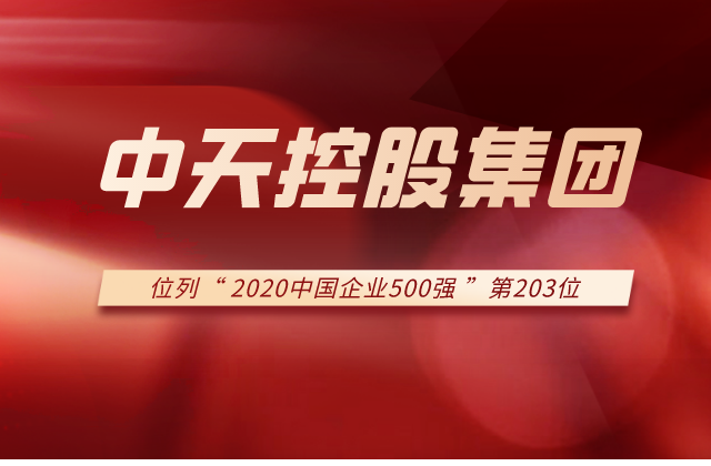 创世大发集团列2020中国企业500强第203位！